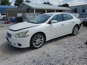  Salvage Nissan Maxima