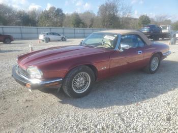  Salvage Jaguar Xjs