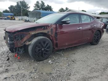  Salvage Nissan Maxima