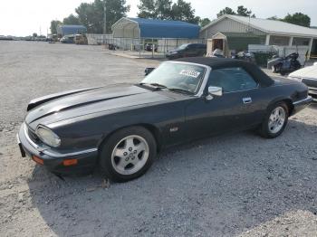  Salvage Jaguar Xjs