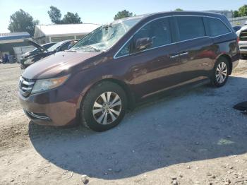  Salvage Honda Odyssey