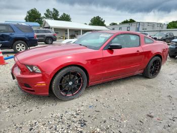 Salvage Ford Mustang