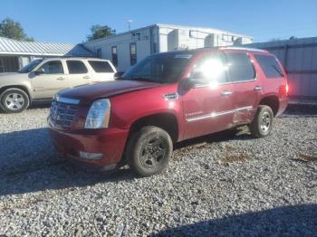  Salvage Cadillac Escalade