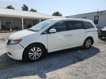  Salvage Honda Odyssey