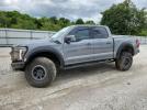Ford F-150 Raptor Image 1