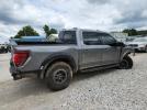 Ford F-150 Raptor Image 2