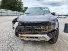 Ford F-150 Raptor Image 4