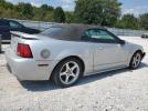 Ford Mustang Gt Image 3