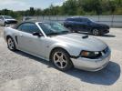 Ford Mustang Gt Image 6