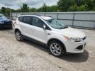 Ford Escape Sel Image 10