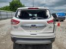 Ford Escape Sel Image 8