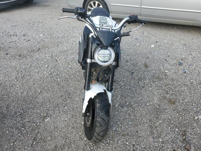 Wolf Striker Image 2