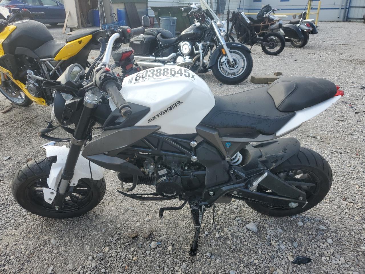 Wolf Striker Image 3