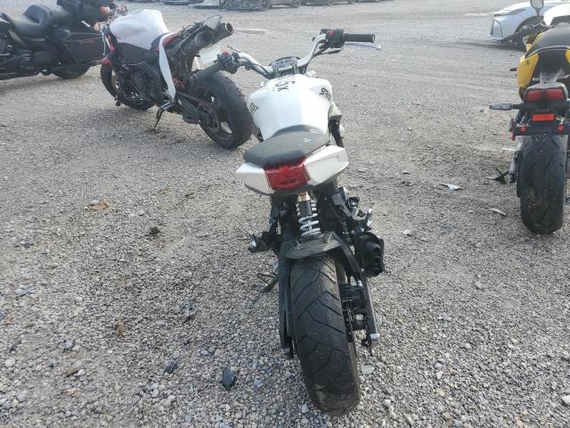 Wolf Striker Image 4