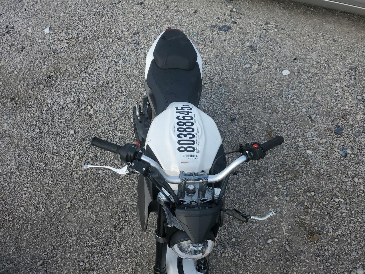 Wolf Striker Image 7