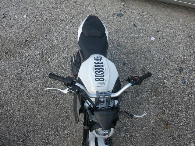 Wolf Striker Image 7