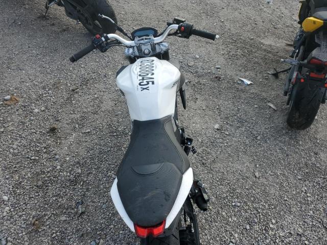 Wolf Striker Image 6