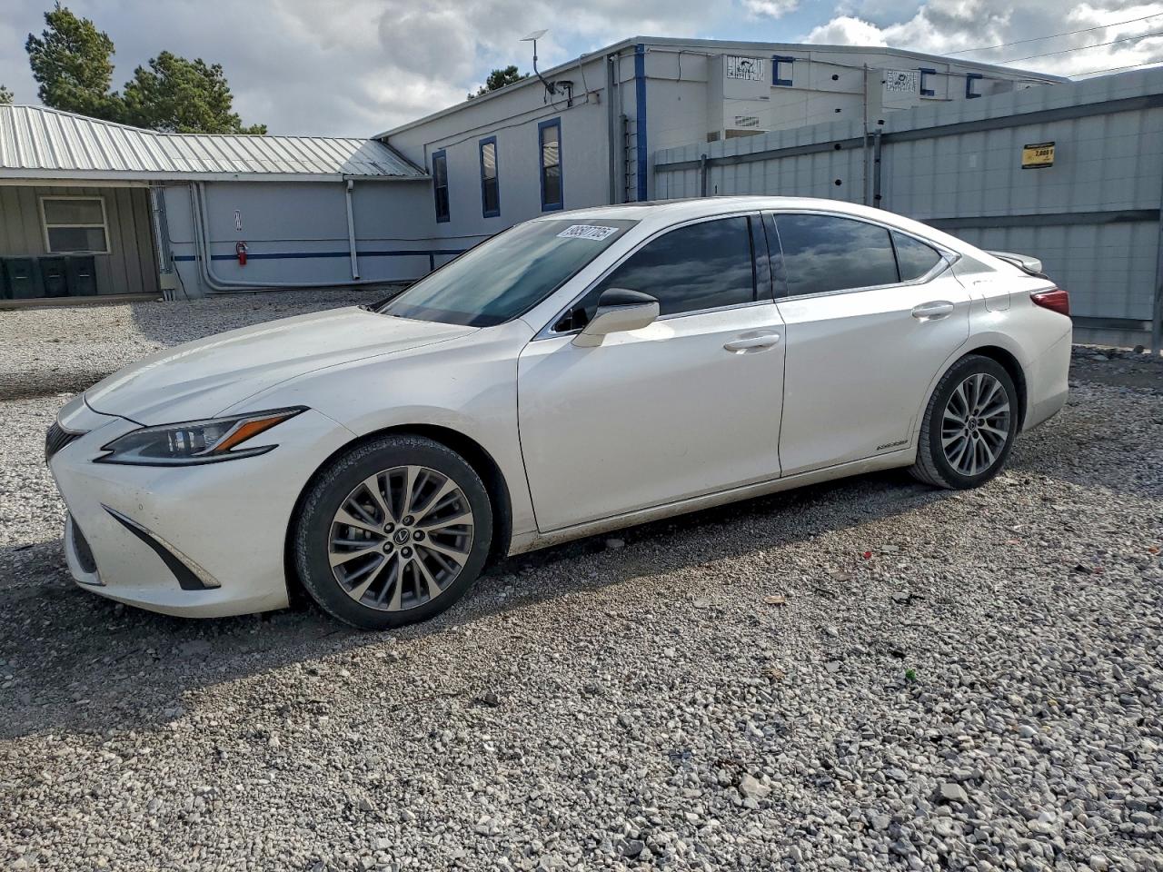 Lexus Es 300h Image 1