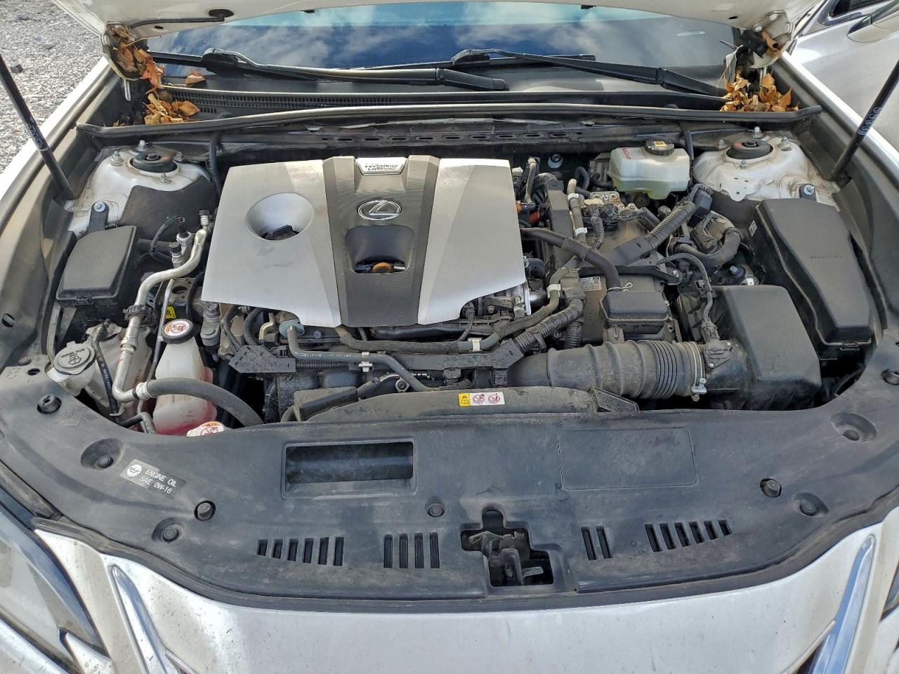 Lexus Es 300h Image 12