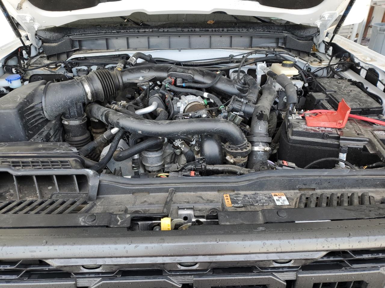 Ford Bronco Raptor Image 3