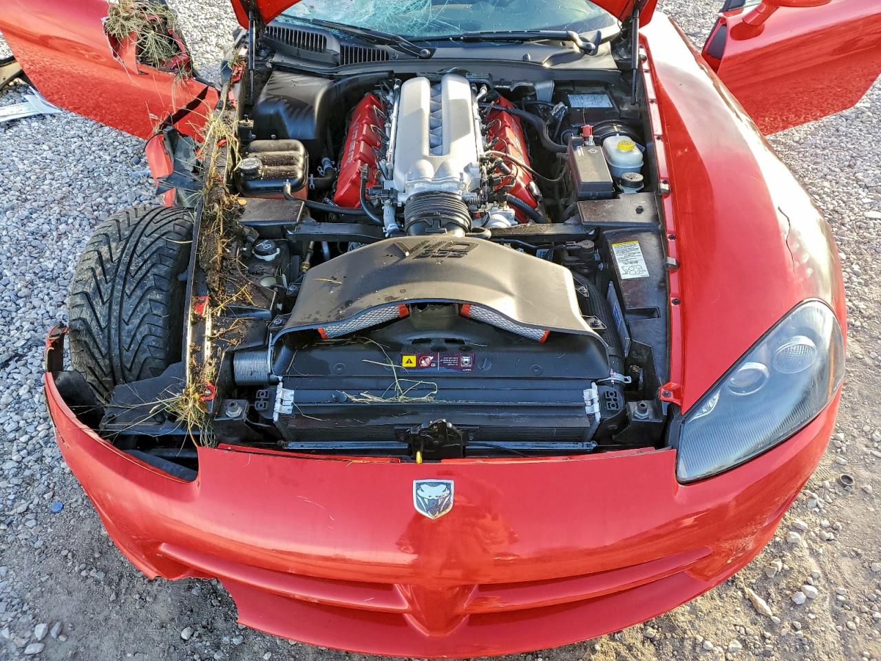 Dodge Viper Srt-10 Image 12