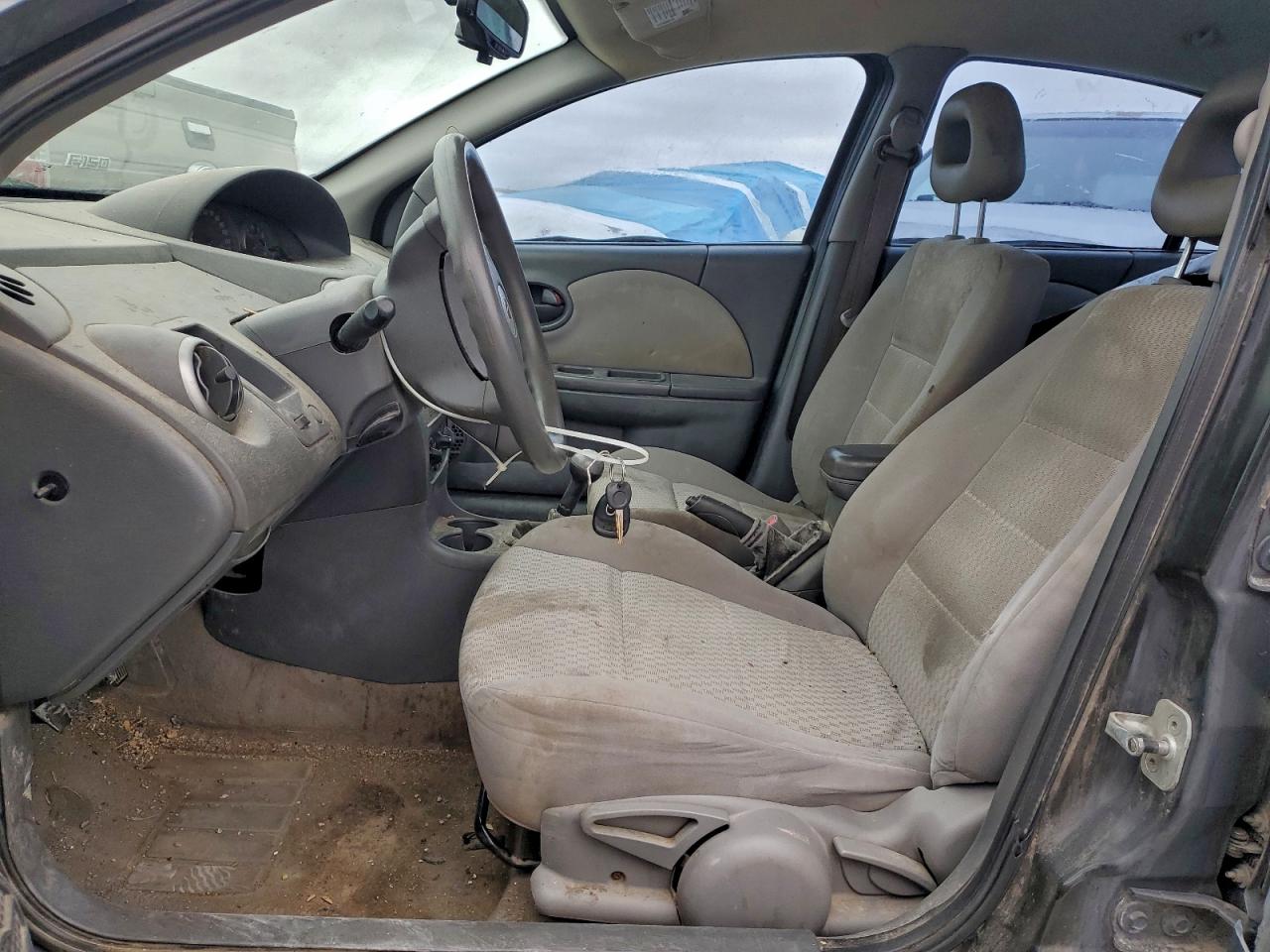 Saturn Ion Level 2 Image 4