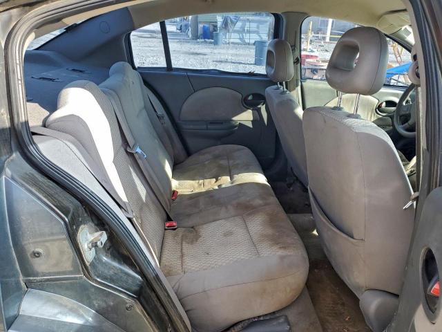 Saturn Ion Level 2 Image 12