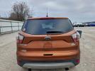 Ford Escape Se Image 7