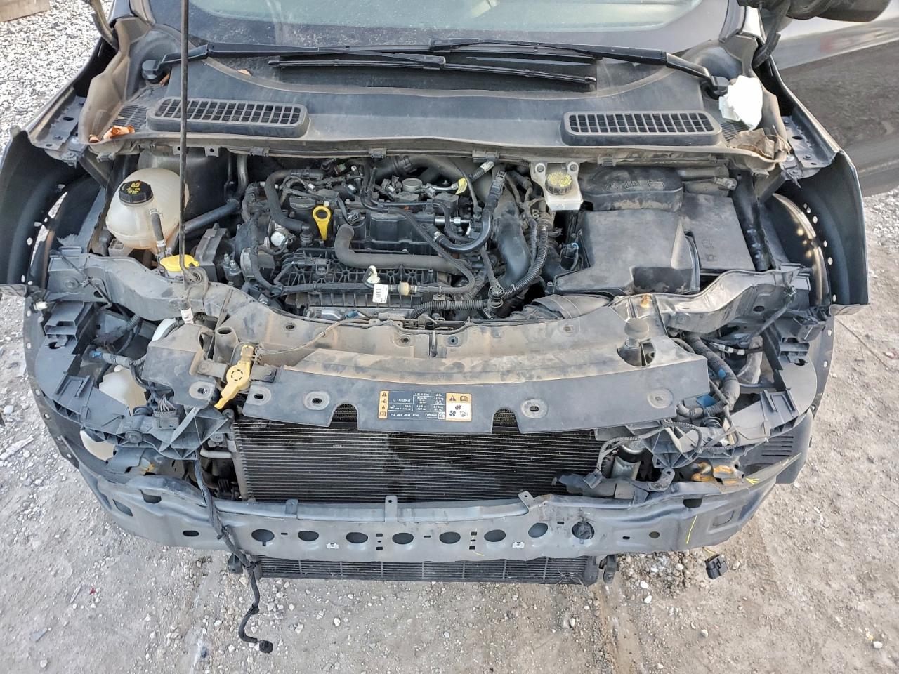 Ford Escape Se Image 9