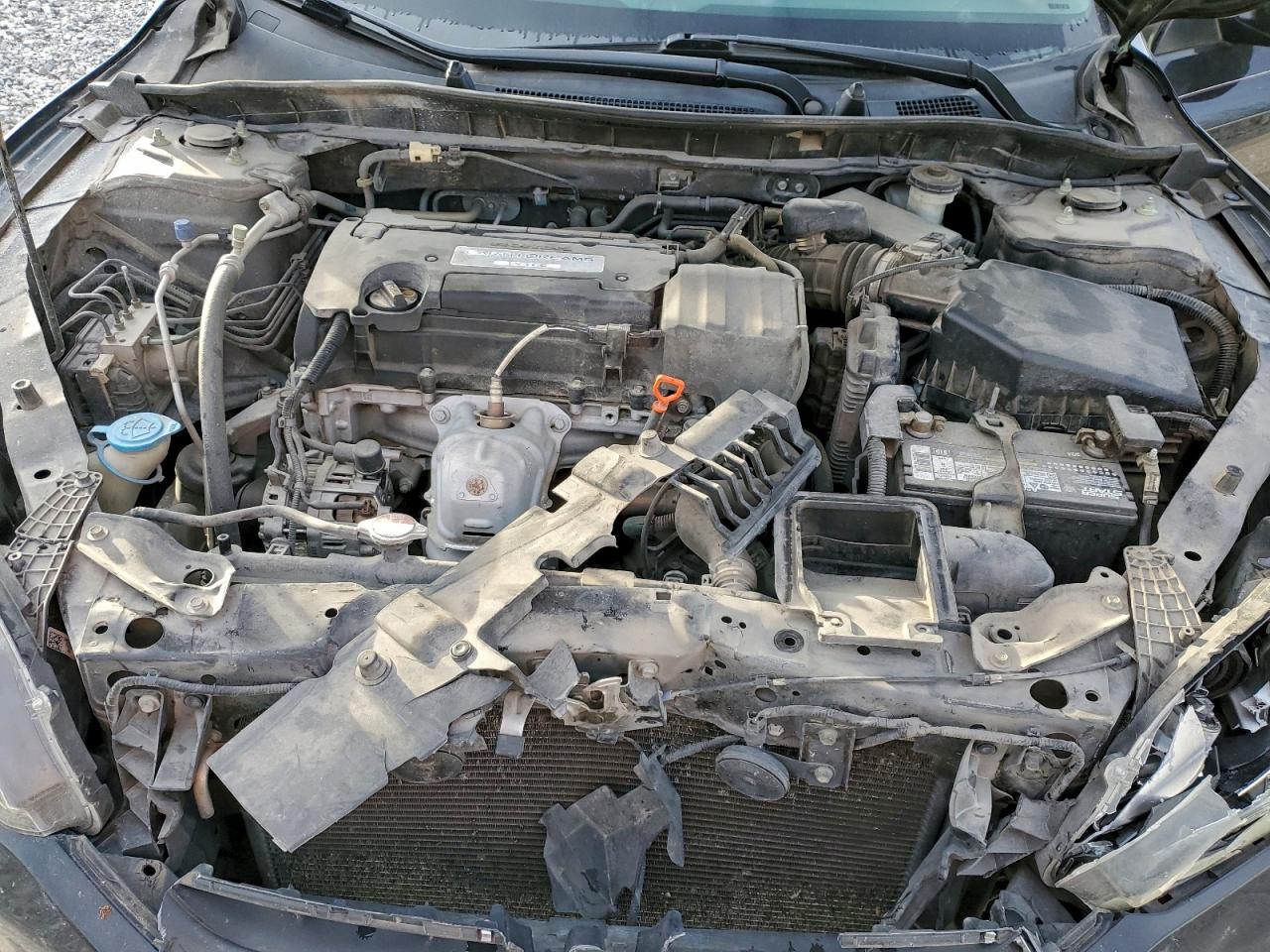 Honda Accord Lx Image 12