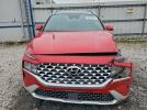 Hyundai SANTA FE Sel Premium Image 11