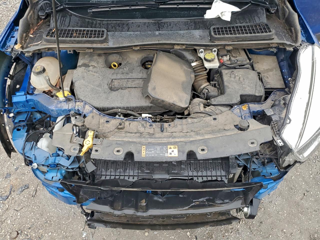 Ford Escape Se Image 6