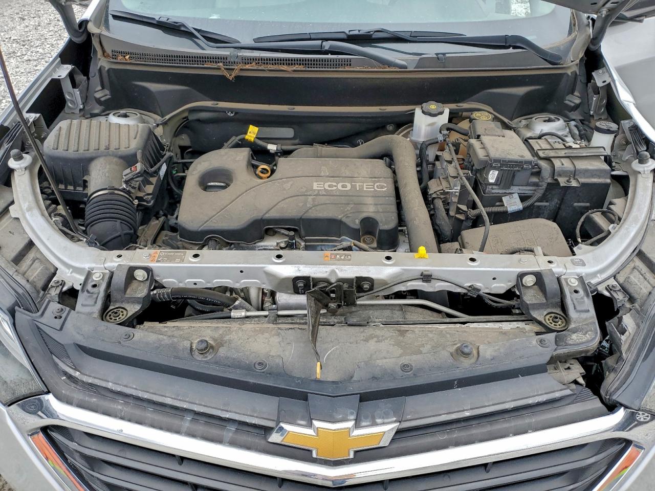 Chevrolet Equinox Ls Image 4