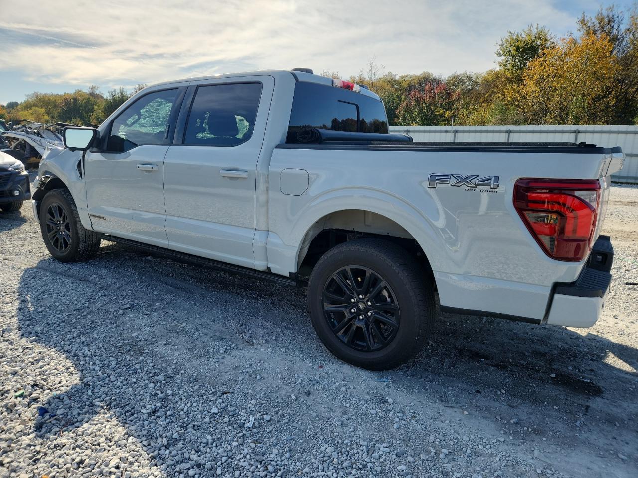 Ford F-150 Platinum Image 12