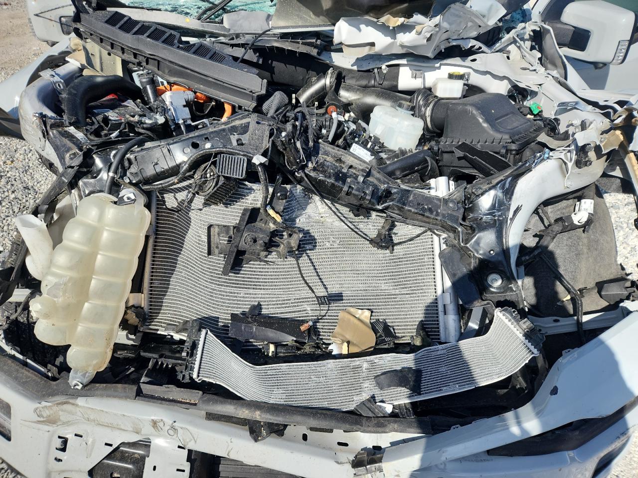 Ford F-150 Platinum Image 4