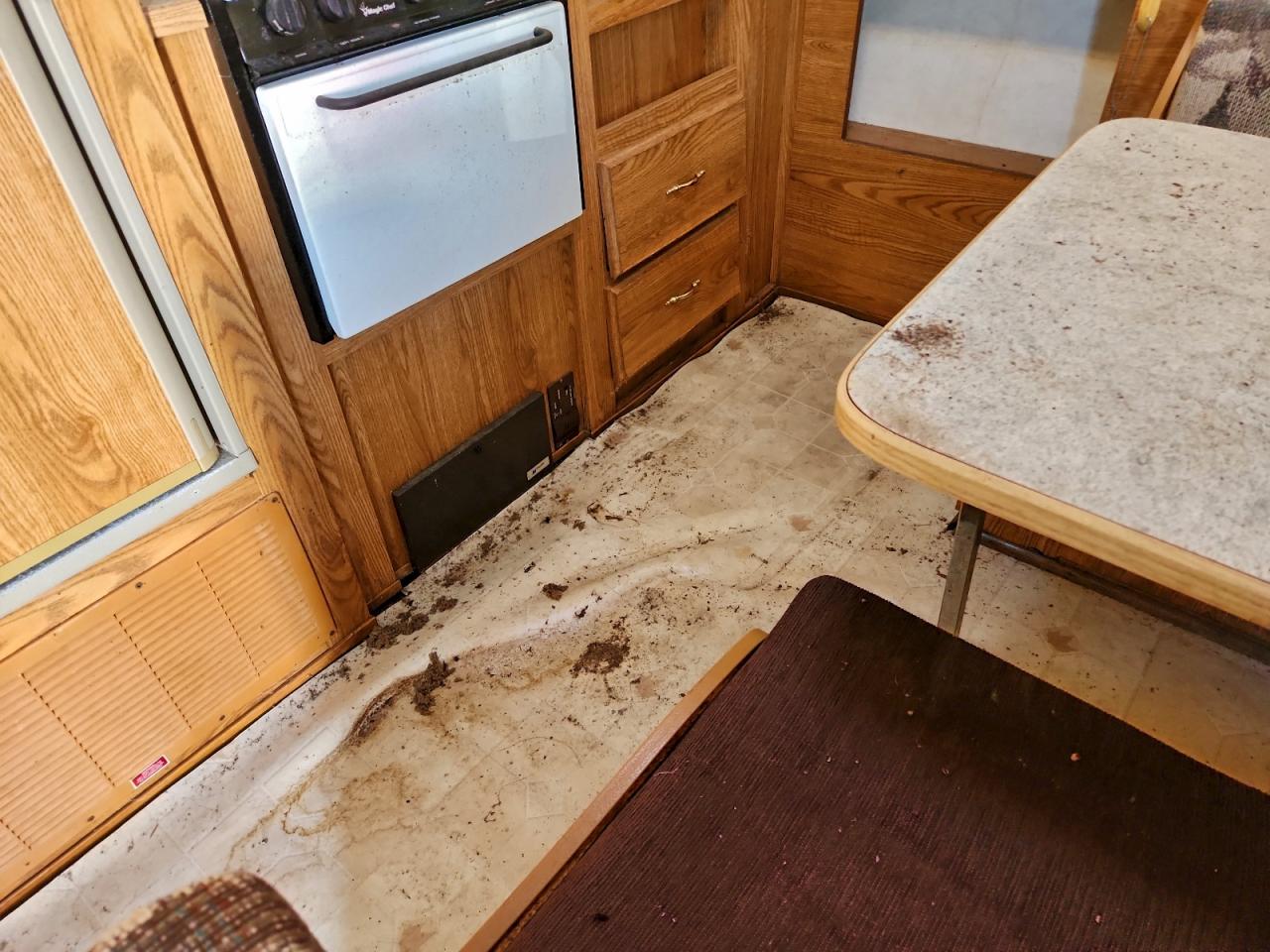 Fleetwood Prowler Image 10