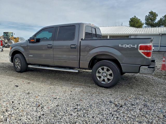 Ford F-150 Supercrew Image 4