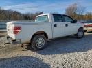 Ford F-150 Supercrew Image 12