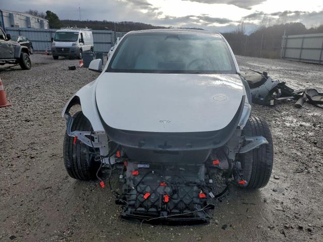 Tesla Model Y Image 3