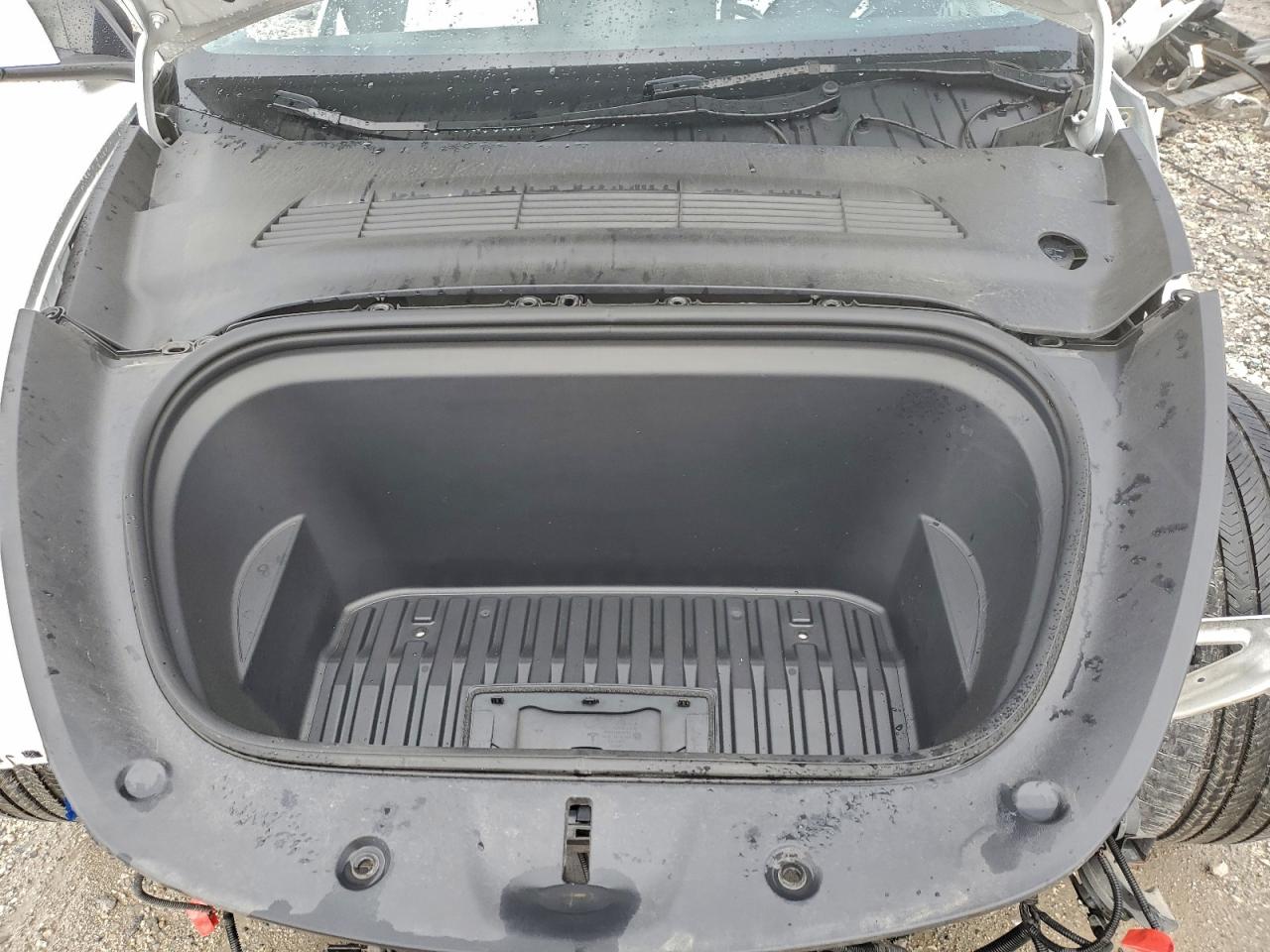 Tesla Model Y Image 8