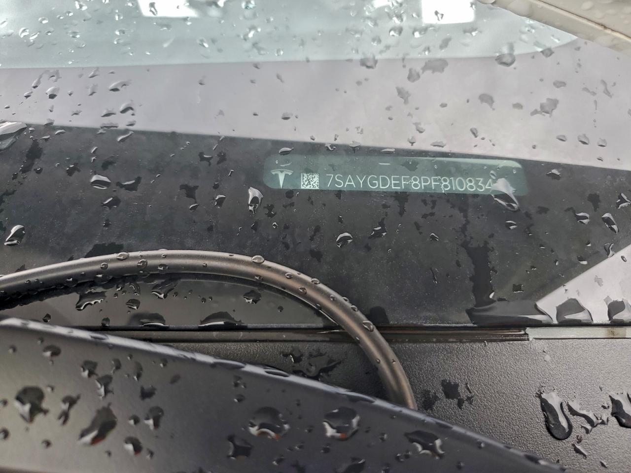 Tesla Model Y Image 13